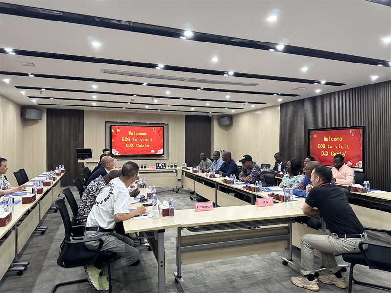 Cáp điện, Cáp điều khiển, Cáp xây dựng, Dongjiaxin, Cáp DJX, Nhà máy cáp Trung Quốc, nhà sản xuất cáp Trung Quốc, cáp Trung Quốc
